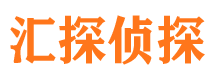 洛宁侦探公司